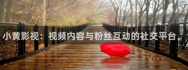 浮力 影院：小黄影视：视频内容与粉丝互动的社交平台。