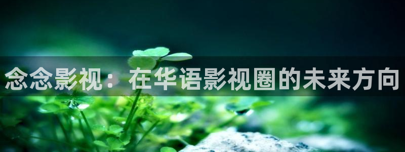 浮力影院播放路线：念念影视：在华语影视圈的未来方向
