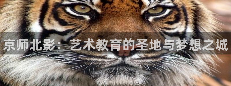 浮力影院草草：京师北影：艺术教育的圣地与梦想之城