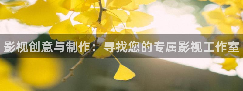 草草屁屁浮力影院：影视创意与制作：寻找您的专属影视工作室