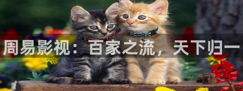 wy97浮力影院：周易影视：百家之流，天下归一