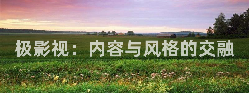 浮力影院国产第六页：极影视：内容与风格的交融