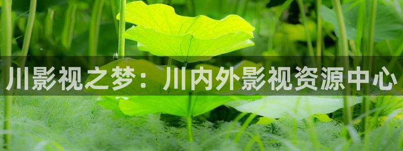 浮力影院最新发布地：川影视之梦：川内外影视资源中心