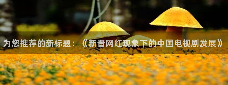 国产浮力第1影院：为您推荐的新标题：《新晋网红现象下的中国电视剧发展》